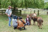 Film shoot for Animal Academy 2011