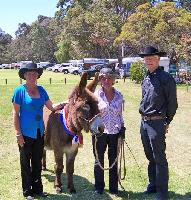 Judging at Kelmscott Show Western Australia 2009