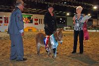 Loretta in ring at Easter Show 2014