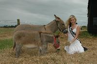 Miss New  Zealand 2006 meeting our donks